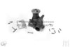 ASHUKI N513-12 Water Pump